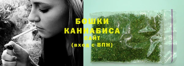 ешки Белокуриха