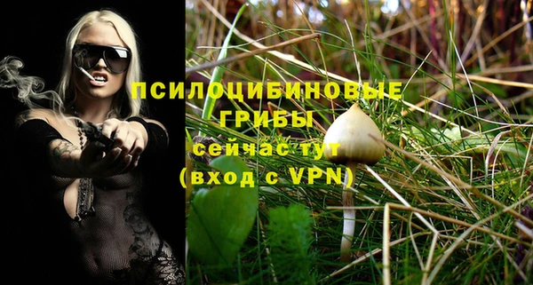 ешки Белокуриха